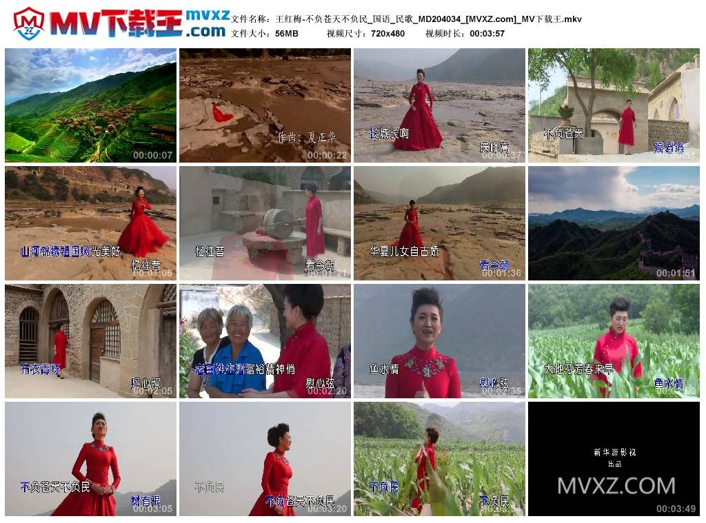 王红梅-不负苍天不负民_国语_民歌_MD204034